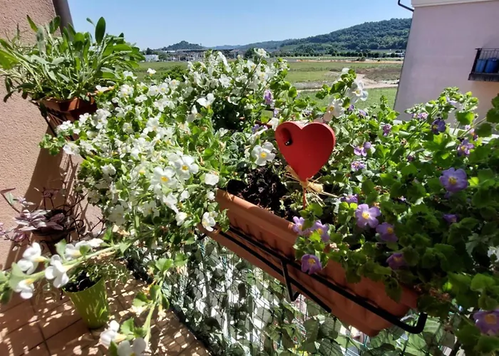 Gelsy House アパート